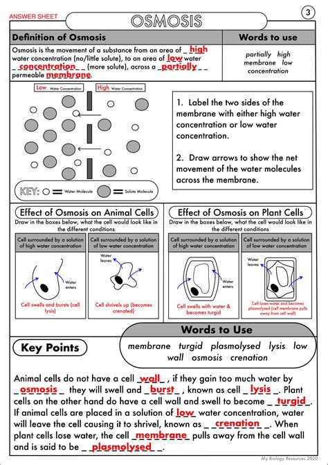 Core Science Isa Bu2 4 Diffusion pdf Kindle Editon