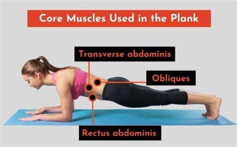 Core Stability and Strength: The Power of Planks