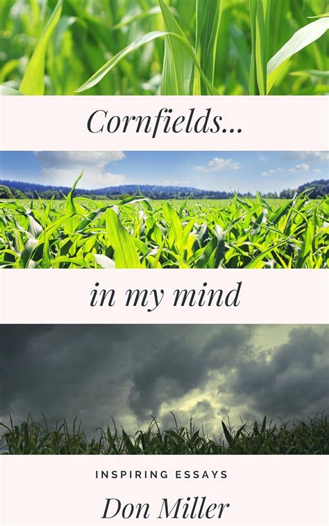 Cornfieldsin My Mind PDF