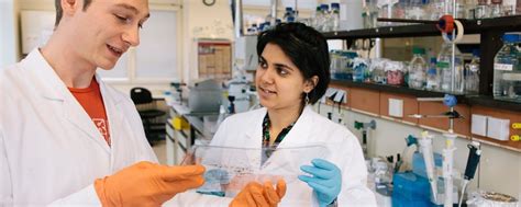 Corning Career Opportunities