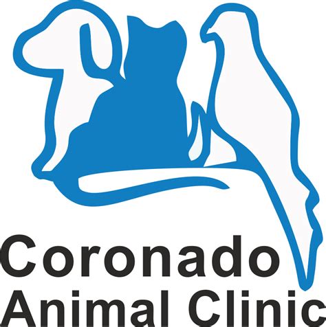 Coronado Animal Clinic El Paso: Your Comprehensive Guide to Pet Care