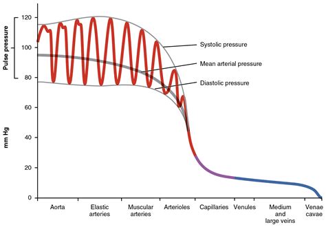 Coronary Pressure PDF