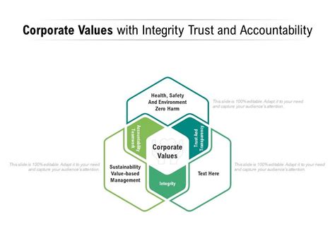 Corporate Integrity and Accountability PDF