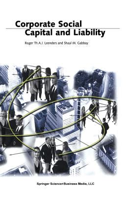 Corporate Social Capital and Liability 1st Edition PDF