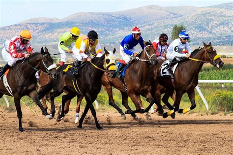 Corrida de Cavalos: Um Guia Completo para Apostas na Coroa