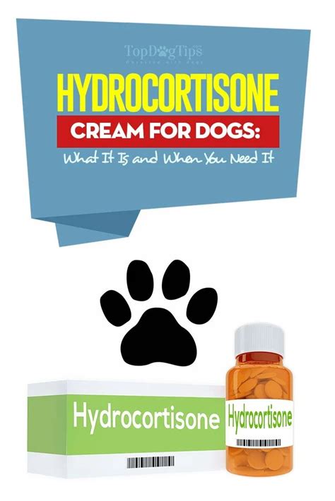 Cortisone Cream for Dogs: A Comprehensive Guide for Pet Owners