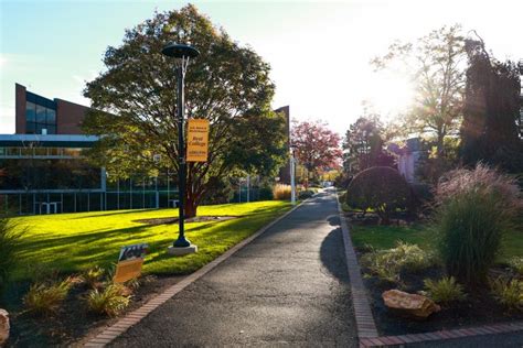 Cost of Adelphi University
