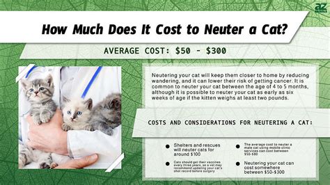 Cost of neutering: