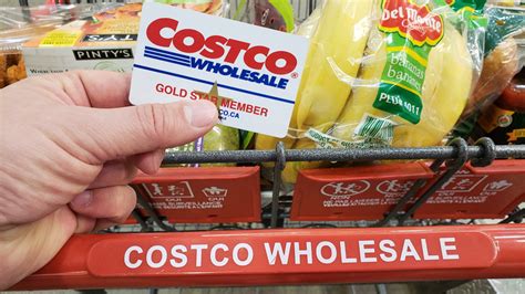 Costco 1776250: The Ultimate Guide to Your Next Purchase