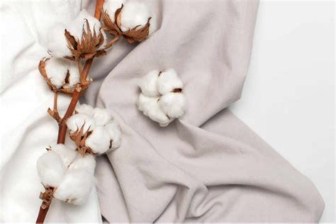 Cotton: A Versatile and Sustainable Fabric