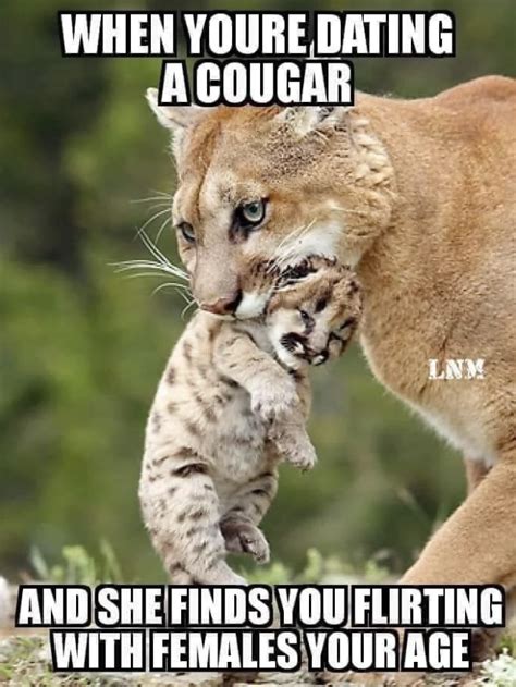 Cougar Meme: How to Spot One in the Wild