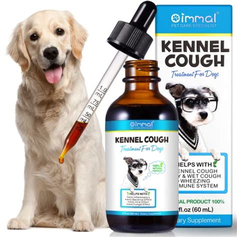 Cough Meds for Dogs: A Complete Guide for Pet Owners