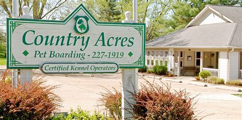 Country Acres Pet Resort: Your One-Stop Destination for Exceptional Pet Care