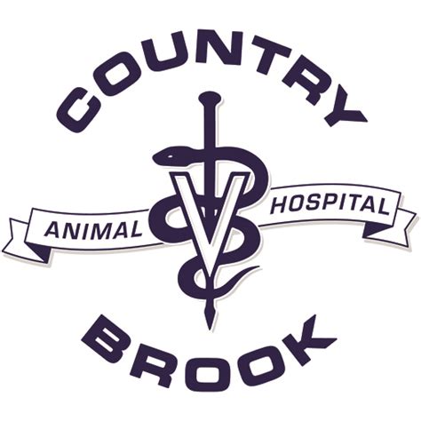 Country Brook Vet Garland TX: Your Trusted Pet Care Partners