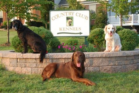 Country Club Kennels & Training: Your Ultimate Guide to Luxurious Pet Care