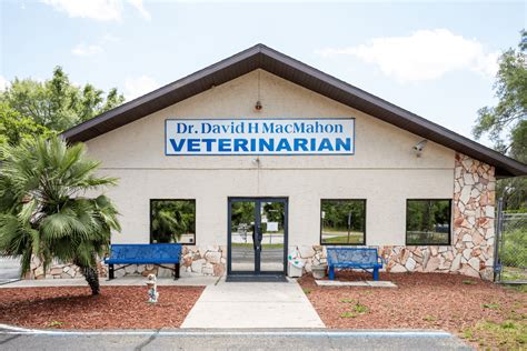 County Line Animal Hospital: Your Trusted Veterinary Partner