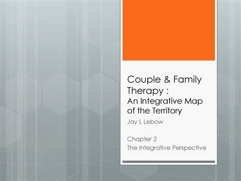 Couple and Family Therapy An Integrative Map of the Territory Kindle Editon