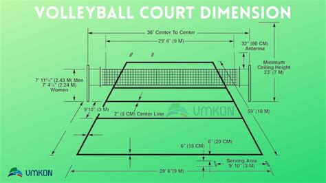 Court Dimensions and Game Setup: