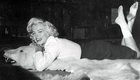 Courtney Star: Spotlight on Hollywood's Enduring Glamour Icon