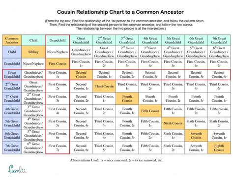 Cousin Dna Chart