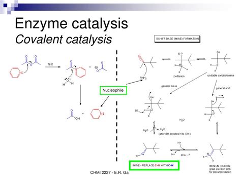 Covalent Catalysis by Enzymes Doc