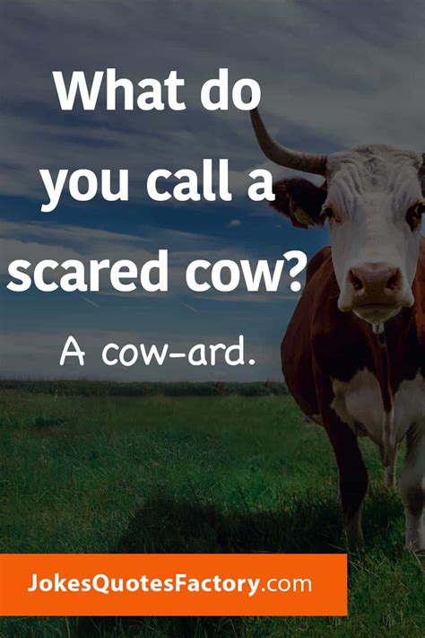 Cow Jokes Funny Cow Jokes for Kids