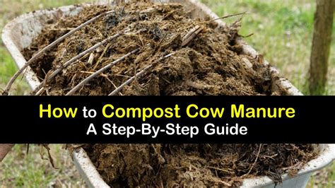 Cow Manure: The Secret Ingredient You've Been Overlooking