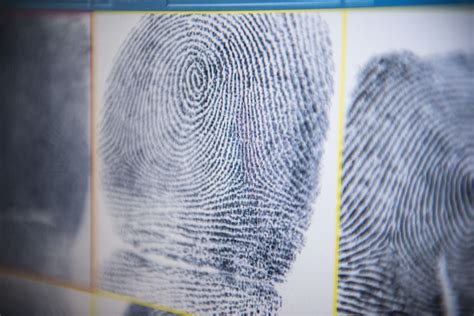 Cracking the Case: How Fingerprint Forensics Can Supercharge Your Investigations