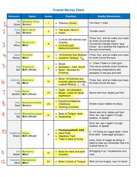 Cranial Nerve Chart