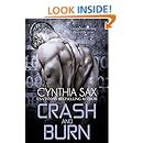 Crash And Burn Cyborg Sizzle Book 3 Reader