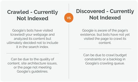 Crawled - Currently Not Indexed: 10,000-Word Insight