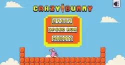 Crazy Bunny: The Wacky World of Hyperactive Rabbits