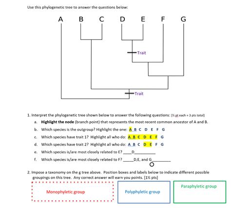 Creating Phylogenetic Tree Hhmi Answers Doc