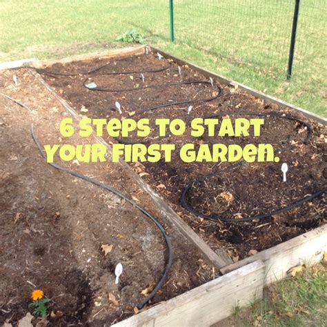 Creating Your First Garden Epub