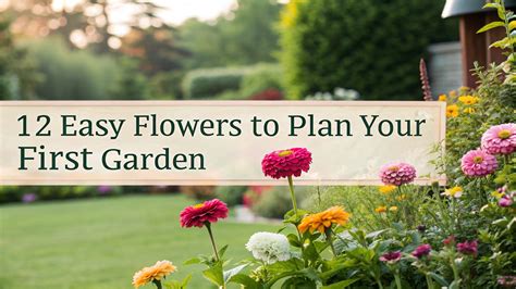 Creating Your First Garden Epub