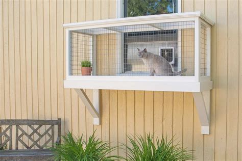 Creating a Purrfect Oasis: Ultimate Guide to Selecting and Using an Outdoor Cat Cage