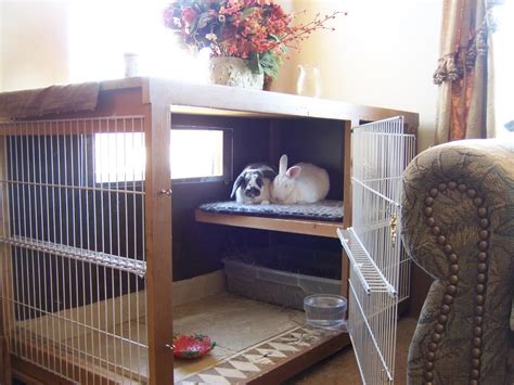 Creating a Safe and Comfortable Environment inside Rabbit Cages