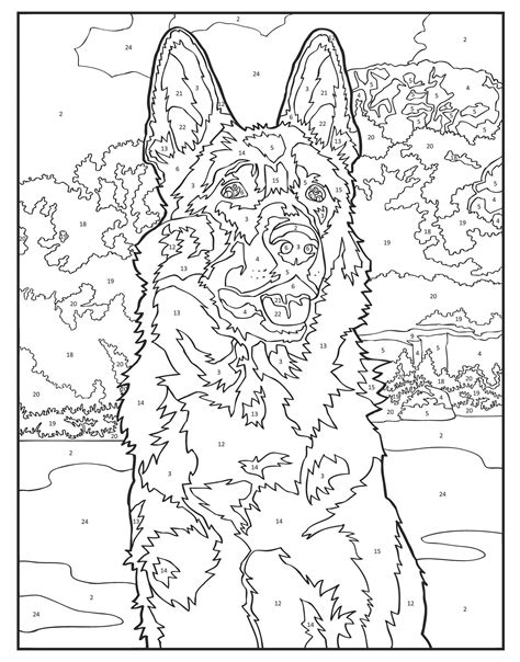 Creative Haven Dogs Color by Number Coloring Book Adult Coloring
