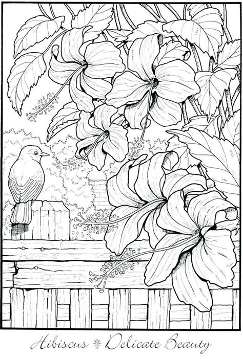 Creative Haven Garden Flowers Draw and Color Adult Coloring PDF