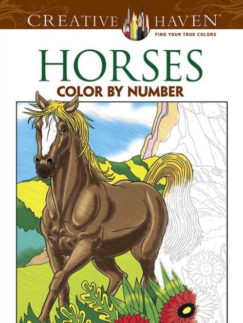 Creative Haven Horses Color by Number Coloring Book Creative Haven Coloring Books Reader