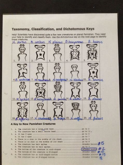 Creature Dichotomous Key Answers Doc