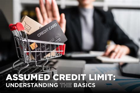 Credit Limit Basics