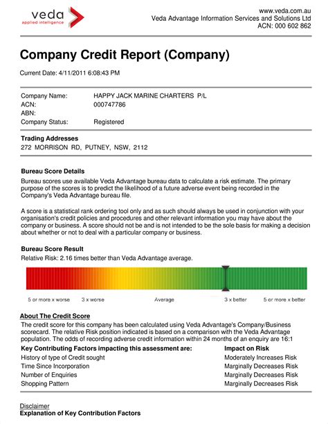 Credit Report Review and Analysis: