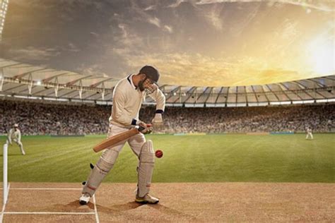 Cricket: The Sport of Strategy and Skill