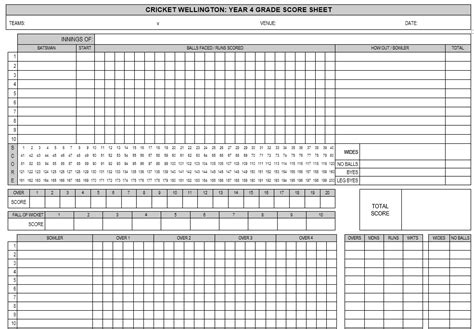 Cricket Score Template