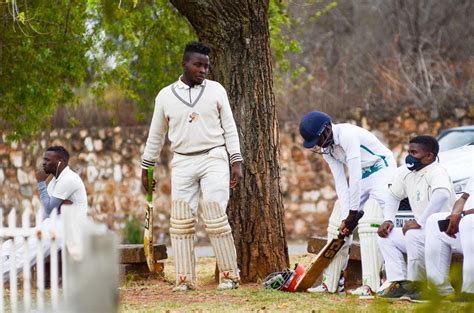 Cricket T-shirt Press: Elevate Your Team Spirit and Business Potential