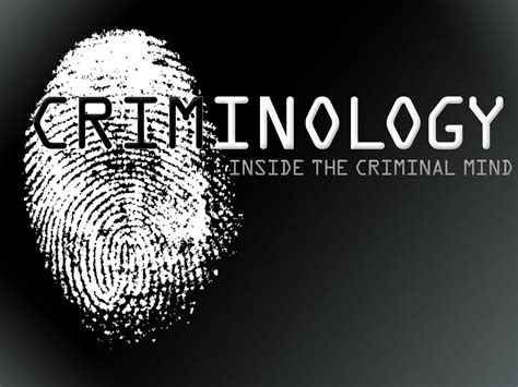 Crime And Criminology Doc