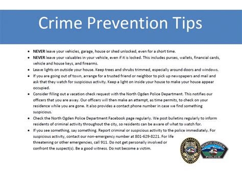 Crime Prevention in America PDF
