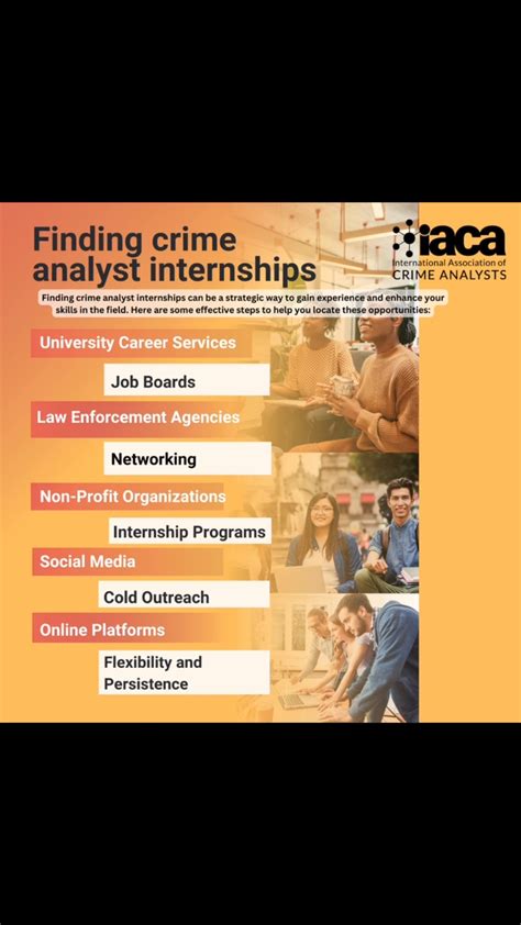 Criminal Analyst Internships: A Window into the Thrilling World of Crime Solving