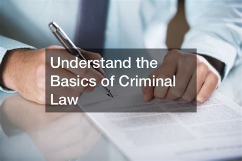 Criminal Law The Basics PDF